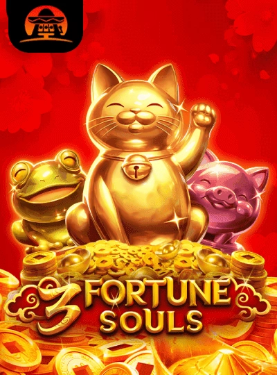 Live bingo room game cover